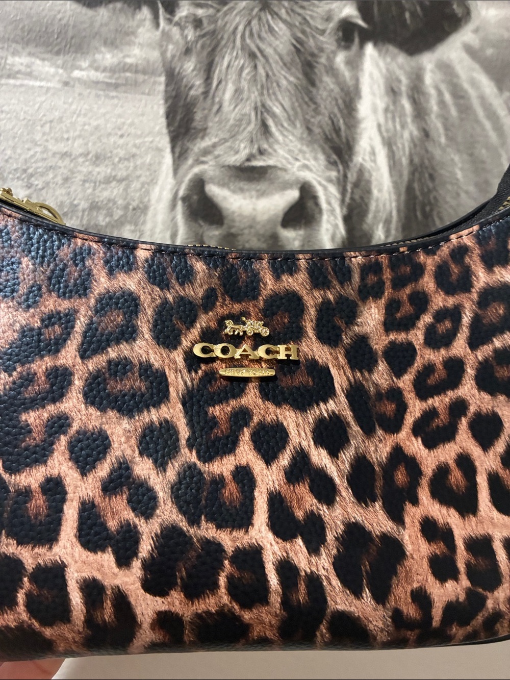Leopard Print Mini Shoulder Bag with Gold Chain - Black & Brown